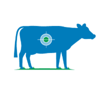 Shoot Sacred Cows img